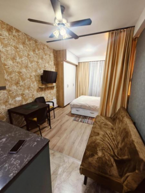 Studio apartment in Bakuriani